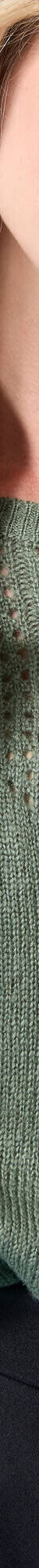 Pull col rond Spécial Petites, maille pointelle (kaki clair) Pull col rond Spécial Petites, maille pointelle (kaki clair)